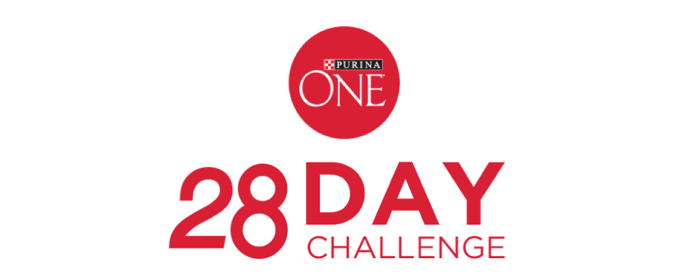 28 Day Challenge